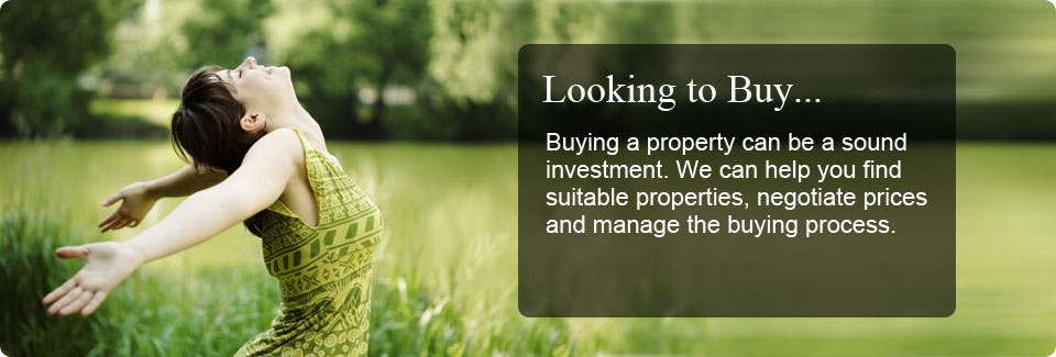 Vinaora Nivo Slider 3.x