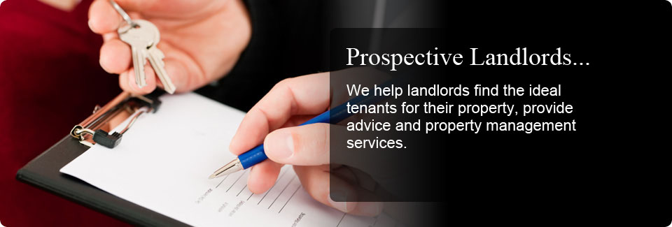 Vinaora Nivo Slider 3.x